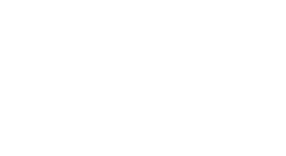 eagle icon