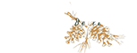 Junipine Logo